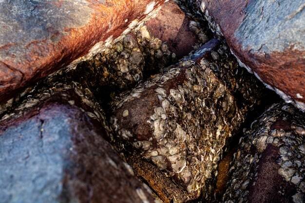 Żelazo gdzie jest go najwięcej w codziennej diecie?